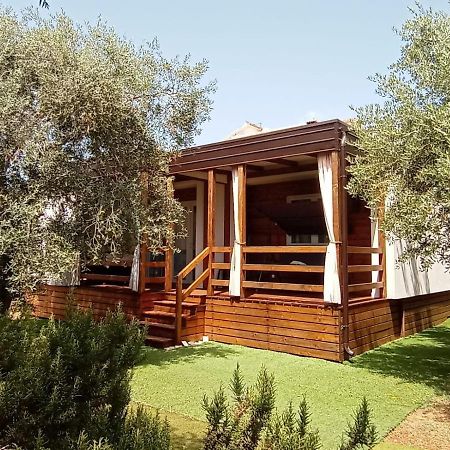 Mobile Homes Olive And Sea Bibinje Exterior photo